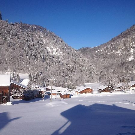 Chalet Narcisse Sixt Εξωτερικό φωτογραφία