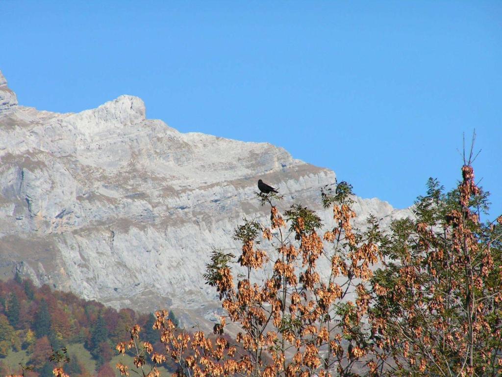Chalet Narcisse Sixt Δωμάτιο φωτογραφία