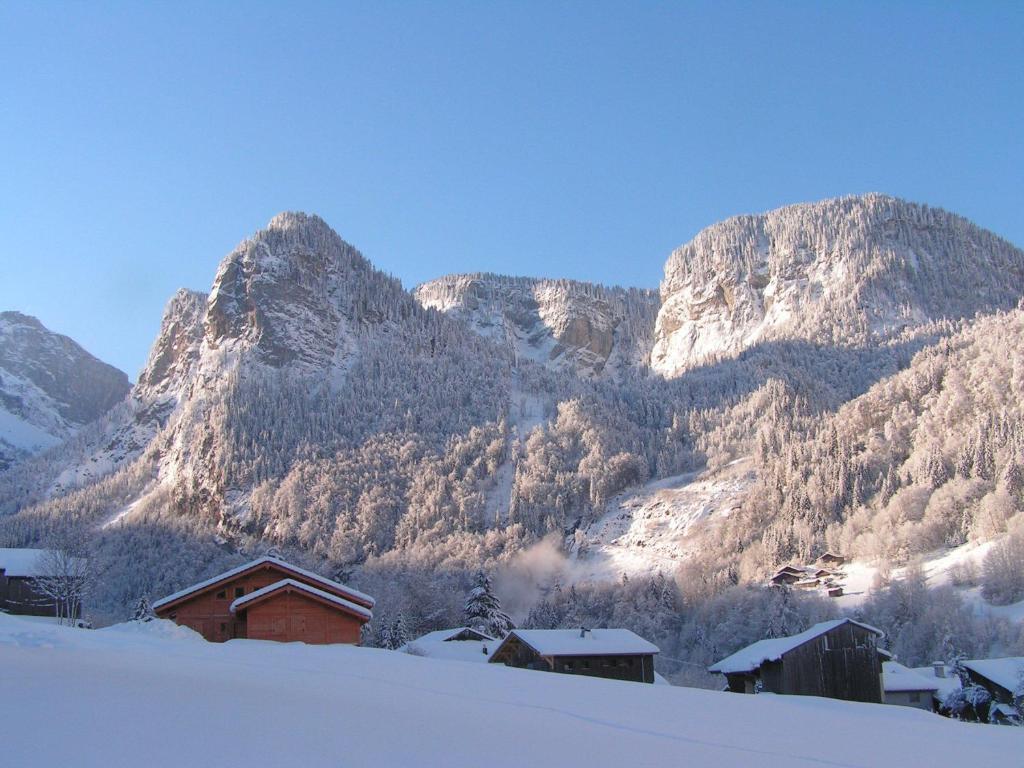 Chalet Narcisse Sixt Δωμάτιο φωτογραφία