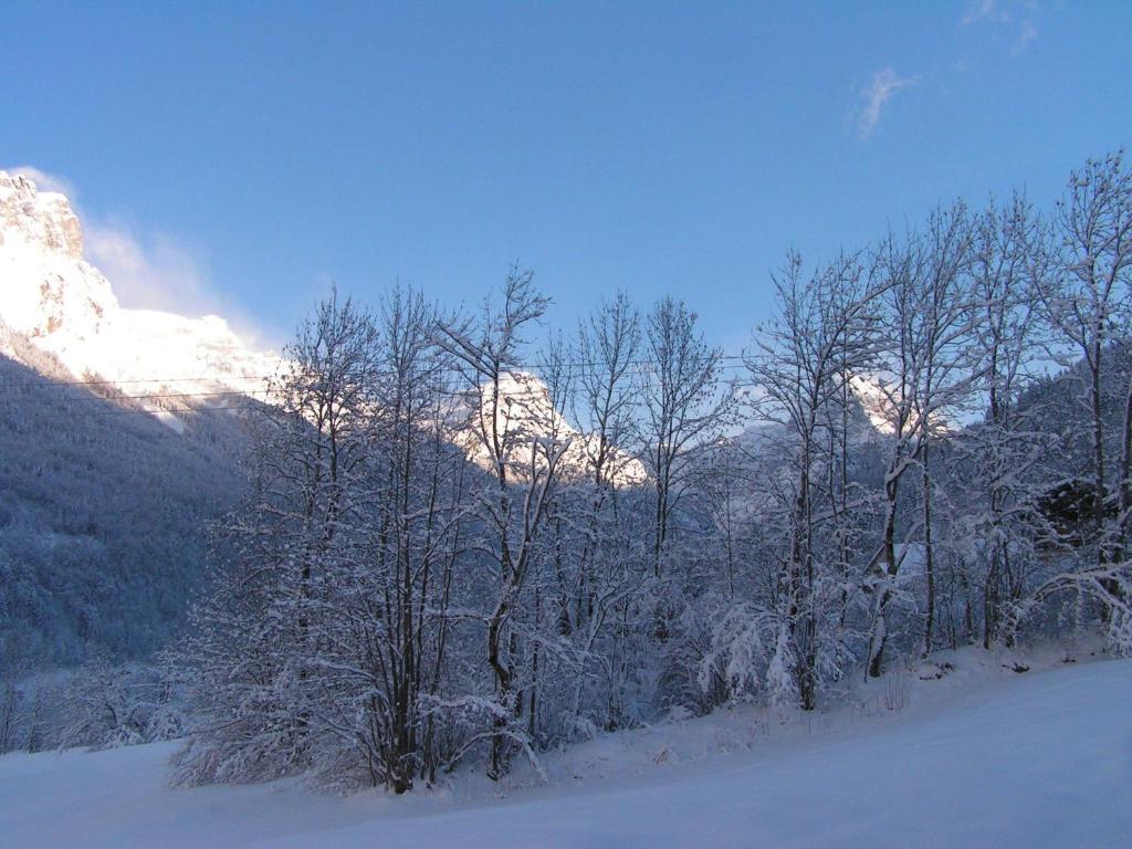 Chalet Narcisse Sixt Δωμάτιο φωτογραφία
