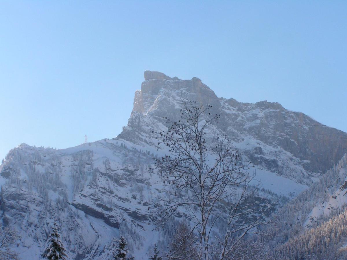 Chalet Narcisse Sixt Δωμάτιο φωτογραφία